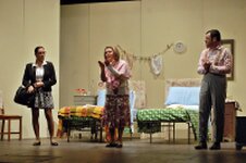 Immagini di alcune commedie rappresentate dalla compagnia teatrale Briciole d